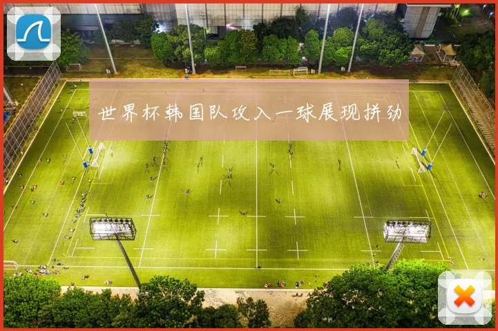 世界杯韩国队攻入一球展现拼劲