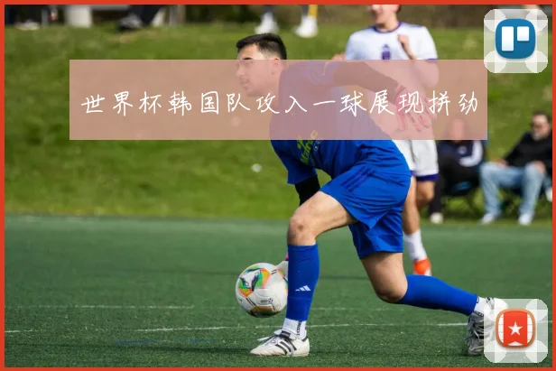 世界杯韩国队攻入一球展现拼劲