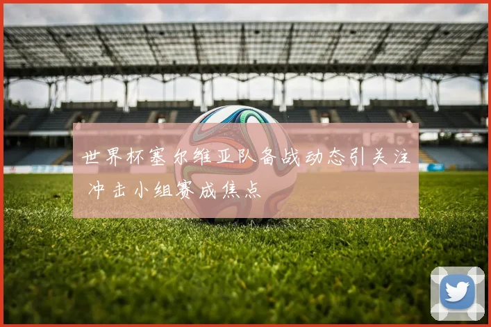 世界杯塞尔维亚队备战动态引关注 冲击小组赛成焦点