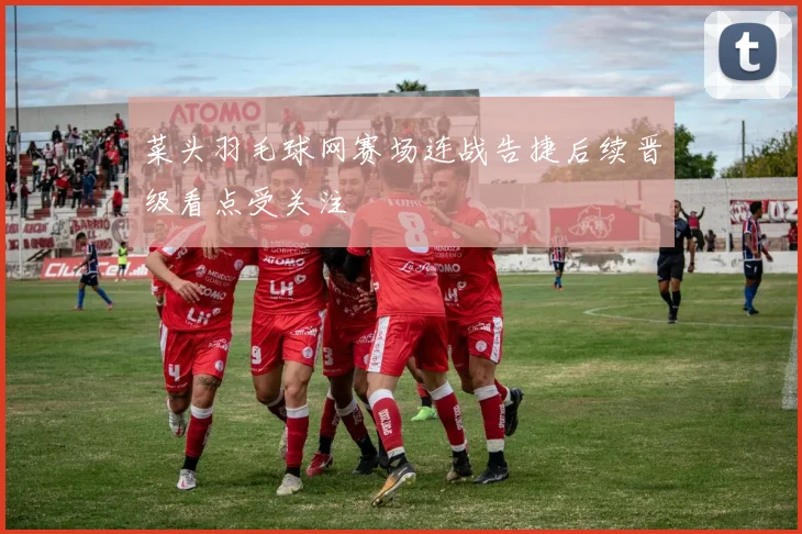 菜头羽毛球网赛场连战告捷后续晋级看点受关注