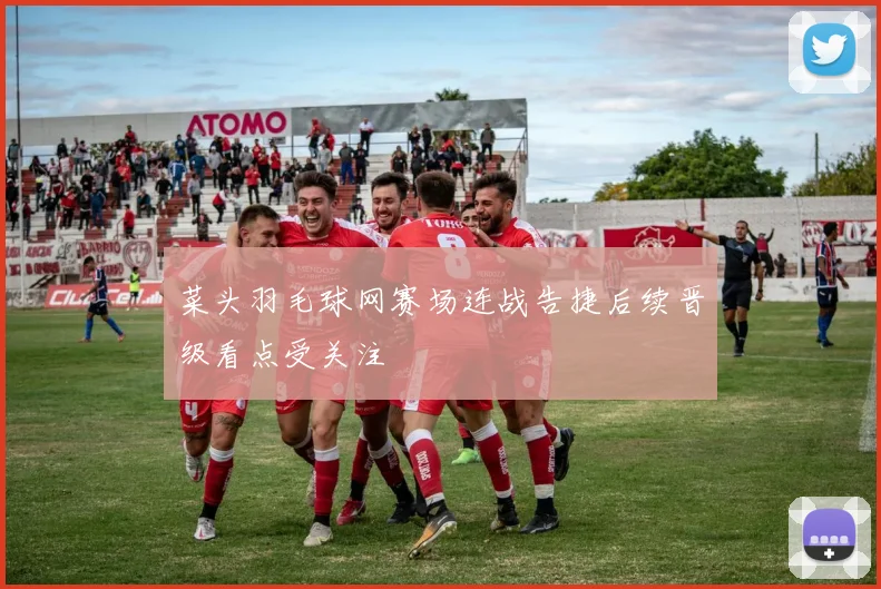 菜头羽毛球网赛场连战告捷后续晋级看点受关注