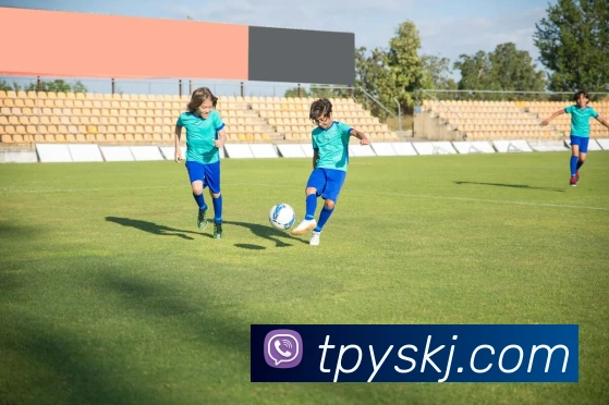 星空app官网服务体系